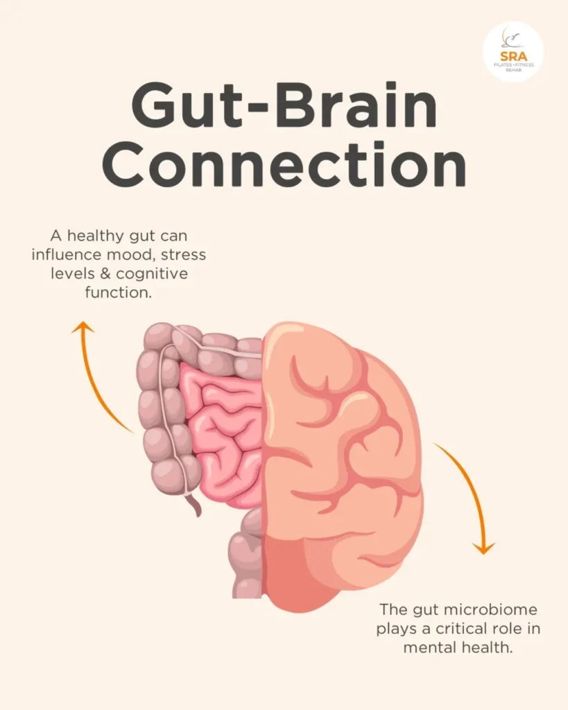 Brain Gut Impact on Mental Health